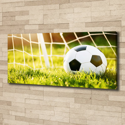 Ball in the Goal 1 Piece Wrapped Canvas Wall Art