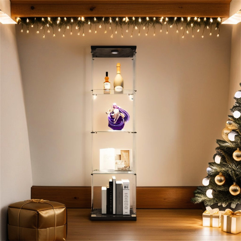 Vitrine en verre à 4 couches, noire avec porte - pour présenter une montre et une maison pratique