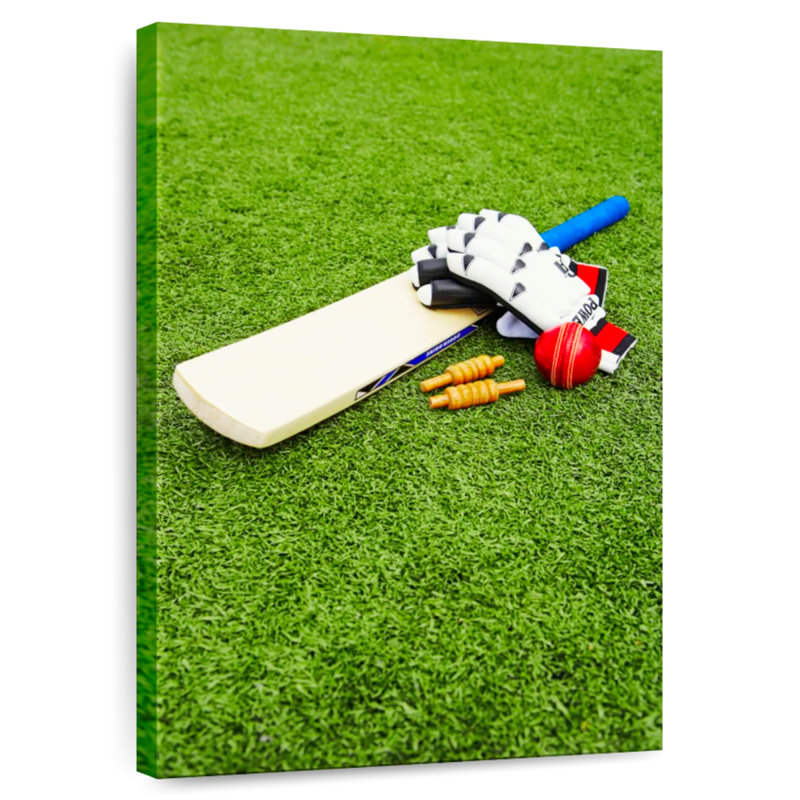 Équipement de cricket d'extérieur Sireci, H 24 po x l 16 po