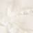Charlie Linen Blend Sham-18851226-18851230