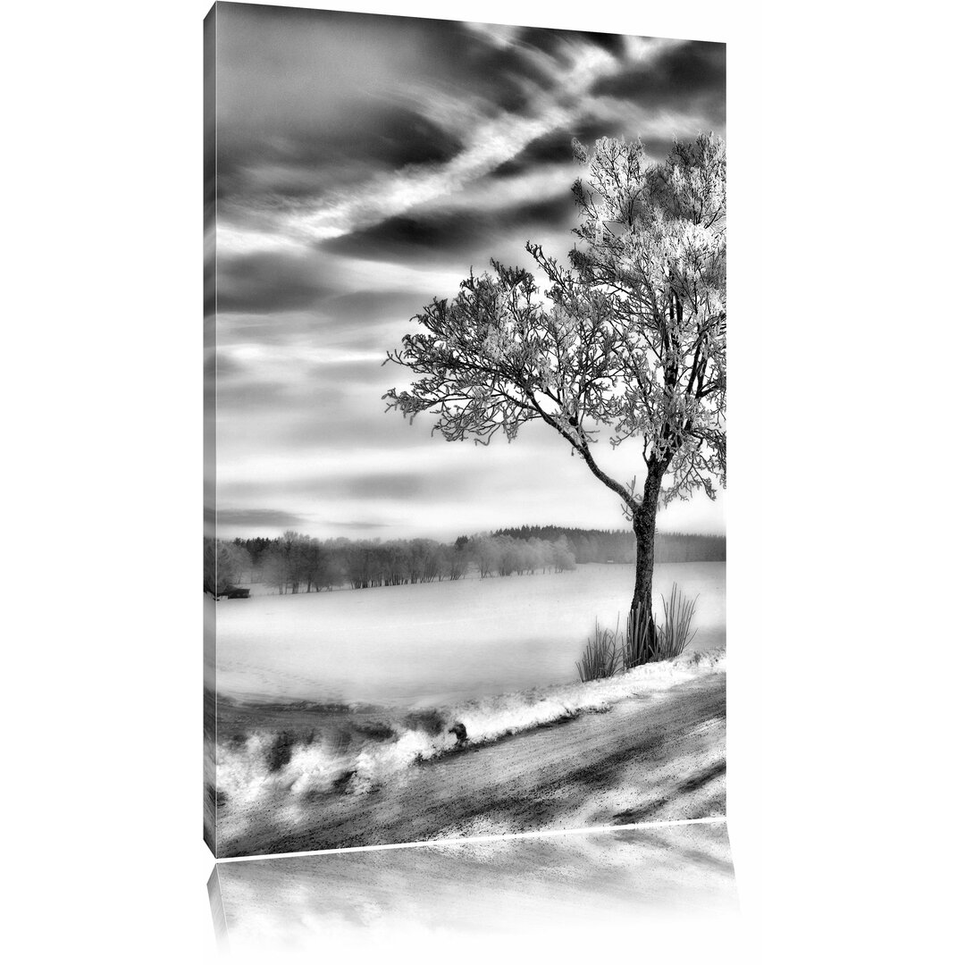 Leinwandbild Baum im Schnee in Monochrom