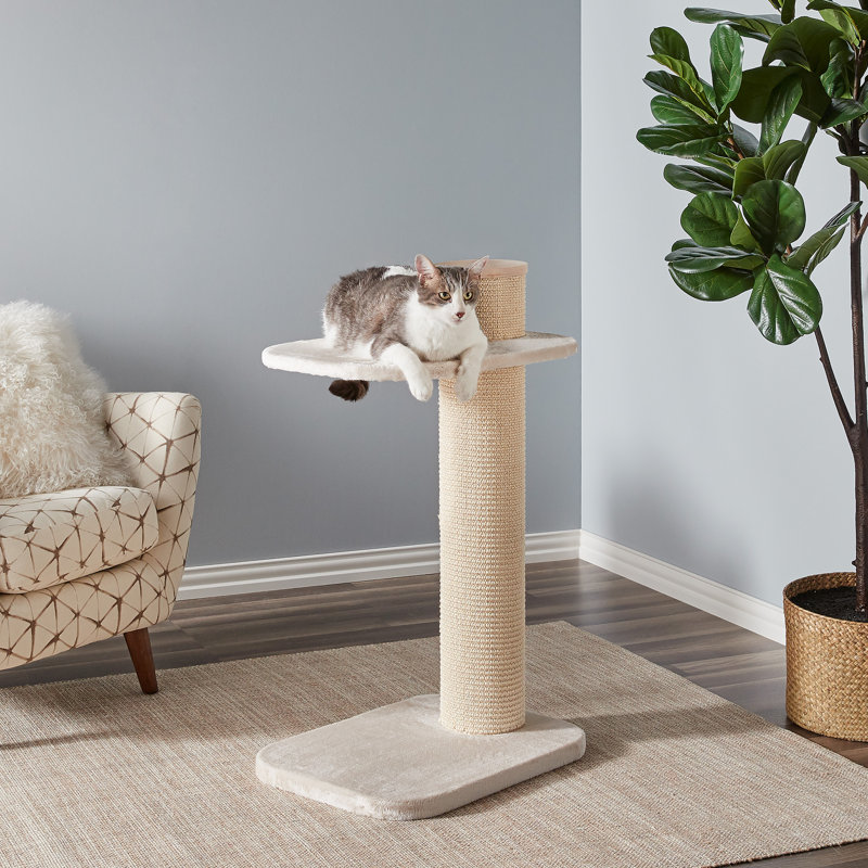 Farrell 38.2'' H Cat Tree, Beige