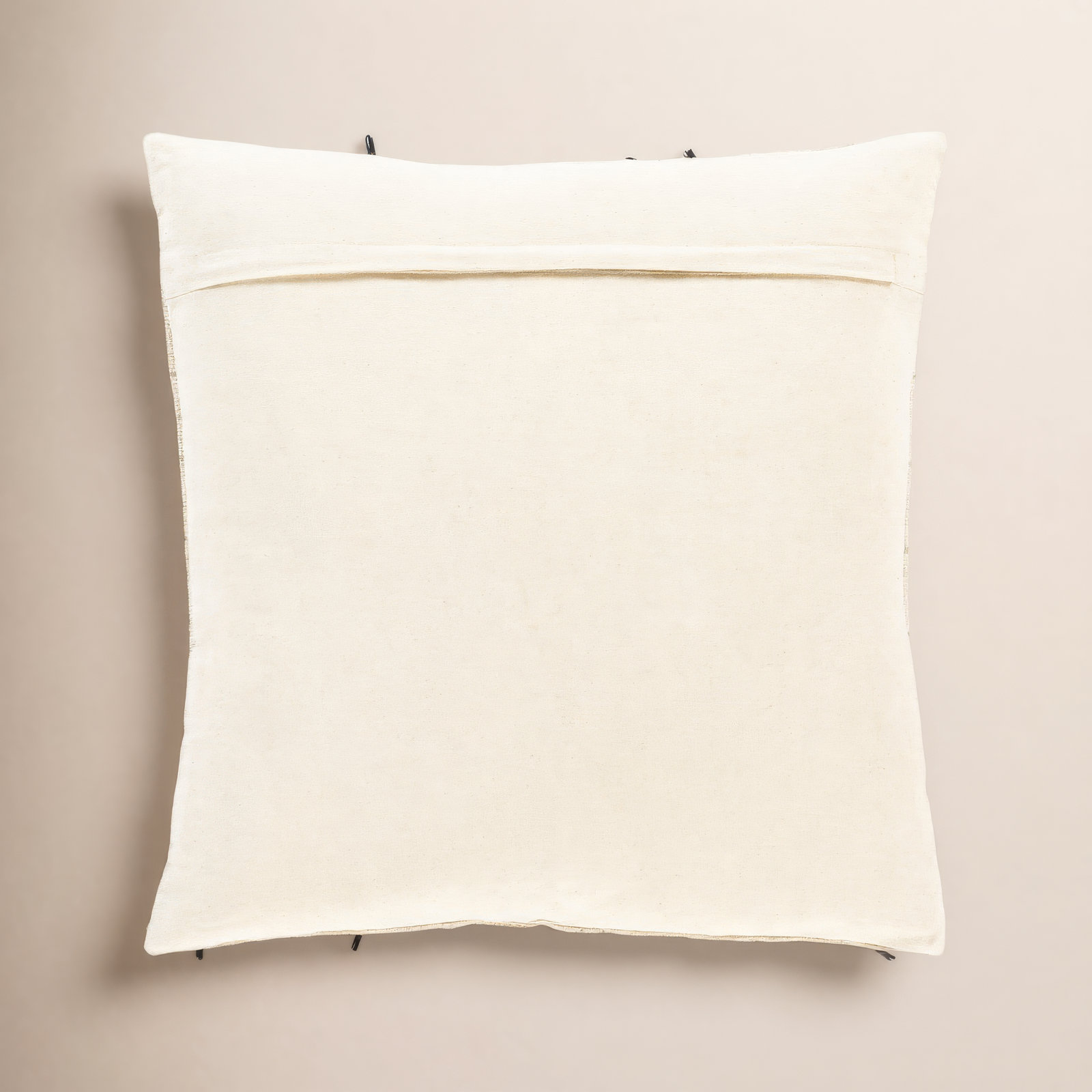 Santina Tassels Cotton Throw Pillow, 20" x 20", Polyester/Polyfill