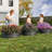 2PCS Round Metal Raised Garden Beds, Black Galvanized Steel Planters with Rubber Edge, Bottomless Outdoor Garden Bed