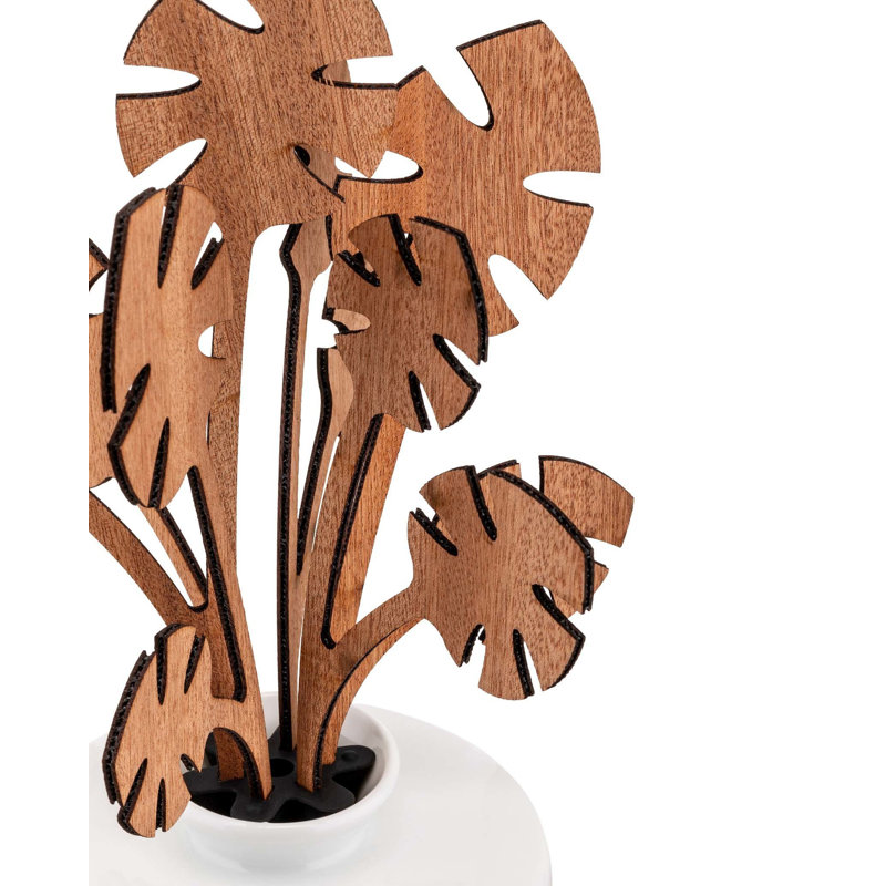 The Five Seasons Reed Diffusers And Sticks