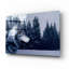 «Gray Wolf Portrait» par Ron Parker, art mural en verre acrylique-1440692593