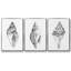 Ensemble de 3 pièces encadrées sur toile Quiet Conch I-50057869-50057868