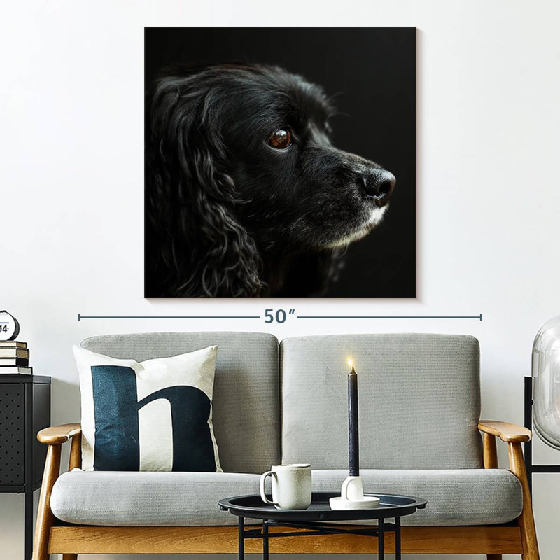 Crowle Cocker Spaniel Portrait, 33" H x 33" W