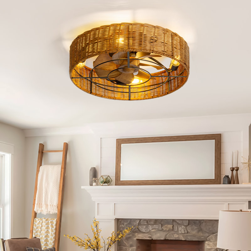 Adiyan 19'' Ceiling Fan with Light Kit