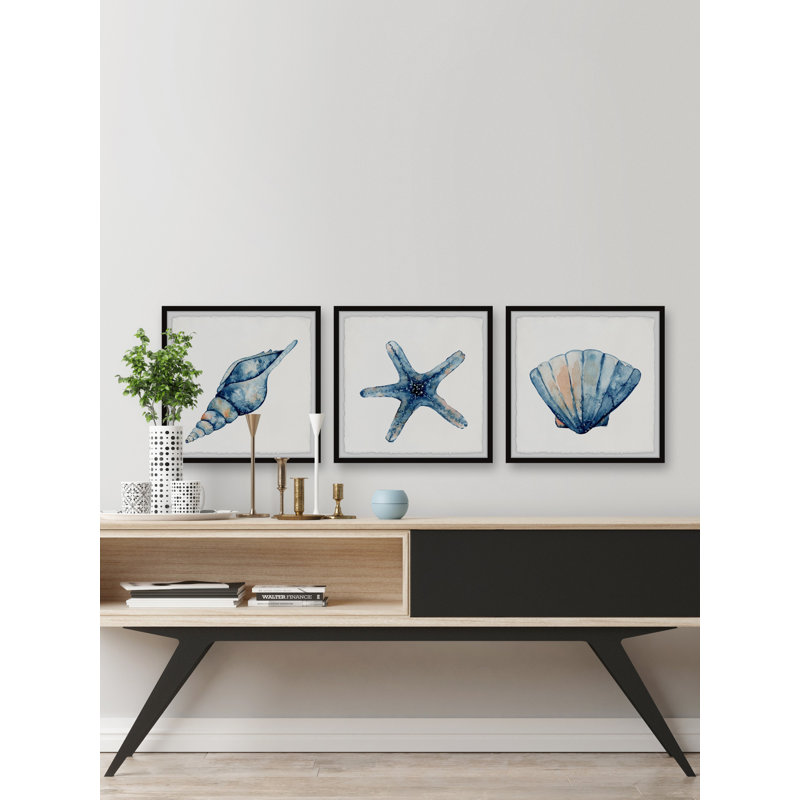 Erie Starfish And Shells by Marmont Hill - 3 Piece Single Picture Frame Painting Set, 45cm H x 45cm W x 3.81cm D