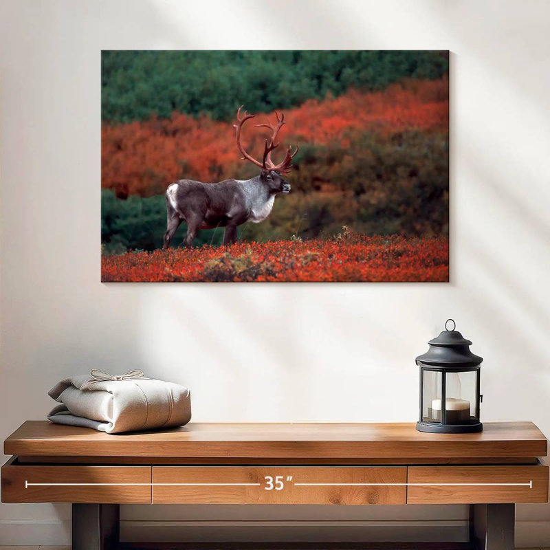 Caribou d'automne Brampt, H 16 po x l 24 po