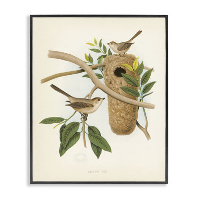 Vintage Bird House Study Giclee Art by Tina Higgins Designs, Inc.