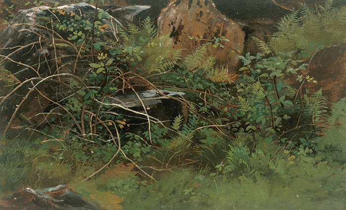 Aurea Wallpaper, 250 x 104cm