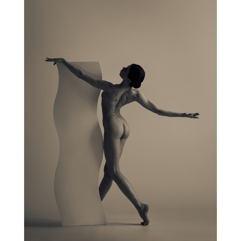 Wrapped Canvas Print, 91.44cm H x 60.96cm W