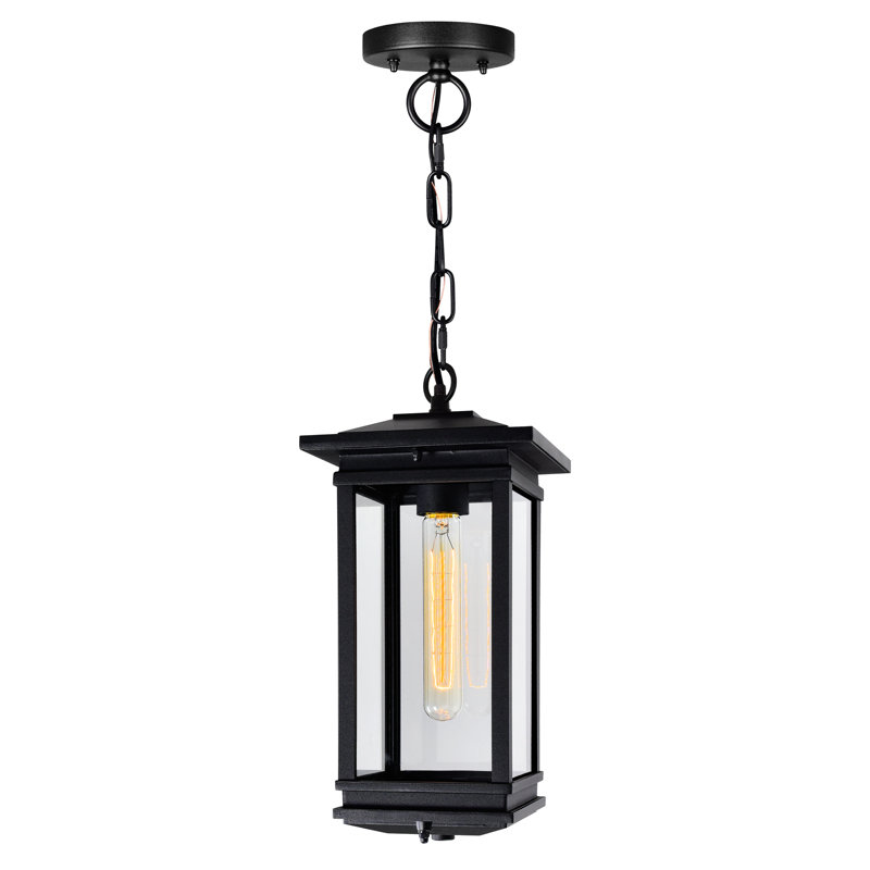Luminaire suspendu d'extérieur noir 1 lumière Oakwood