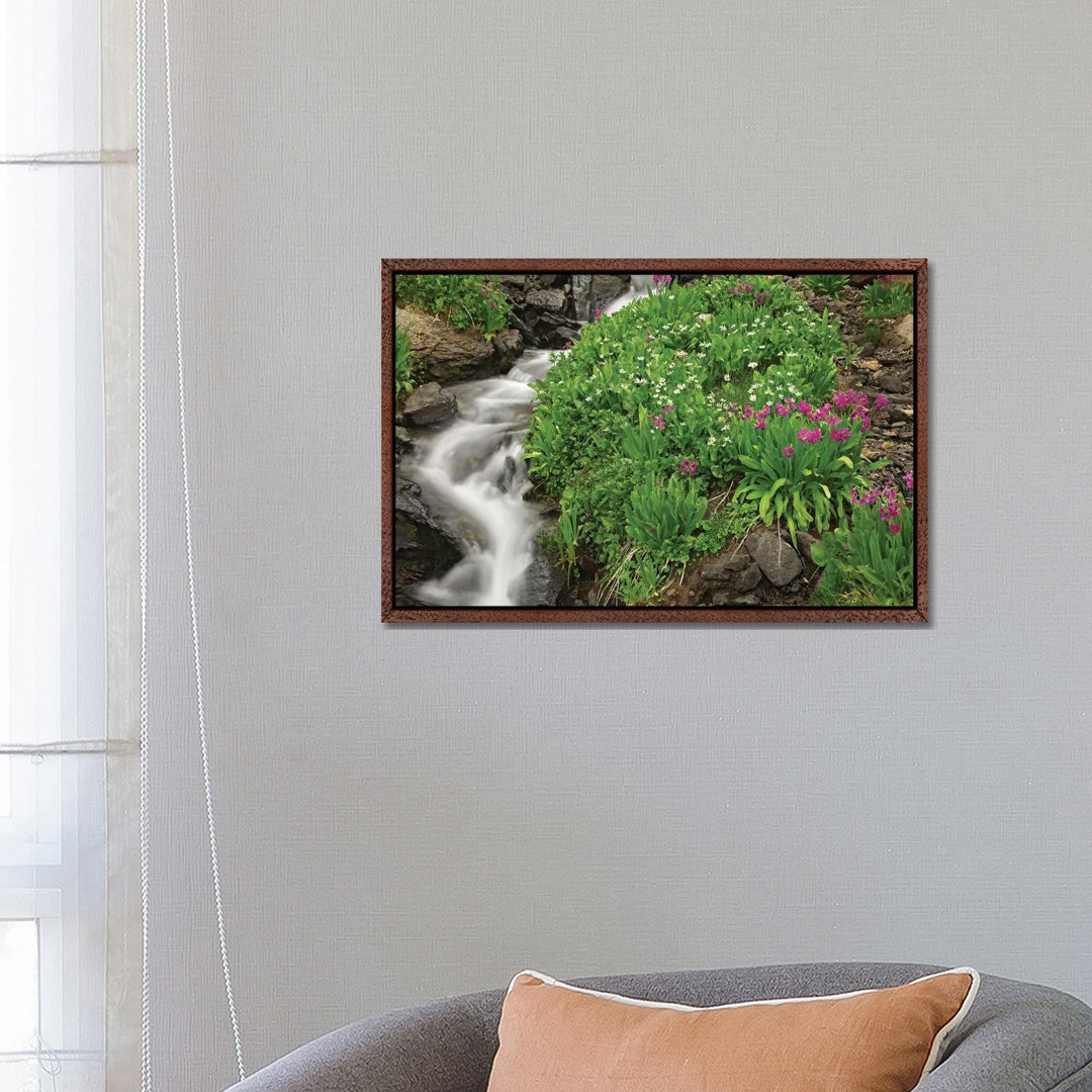 Porphyry Creek Near Silverton, Colorado II von Tim Fitzharris - Galerie-verpackte Leinwand Giclée auf Leinwand