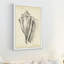 Single Picture Frame Print-165818366