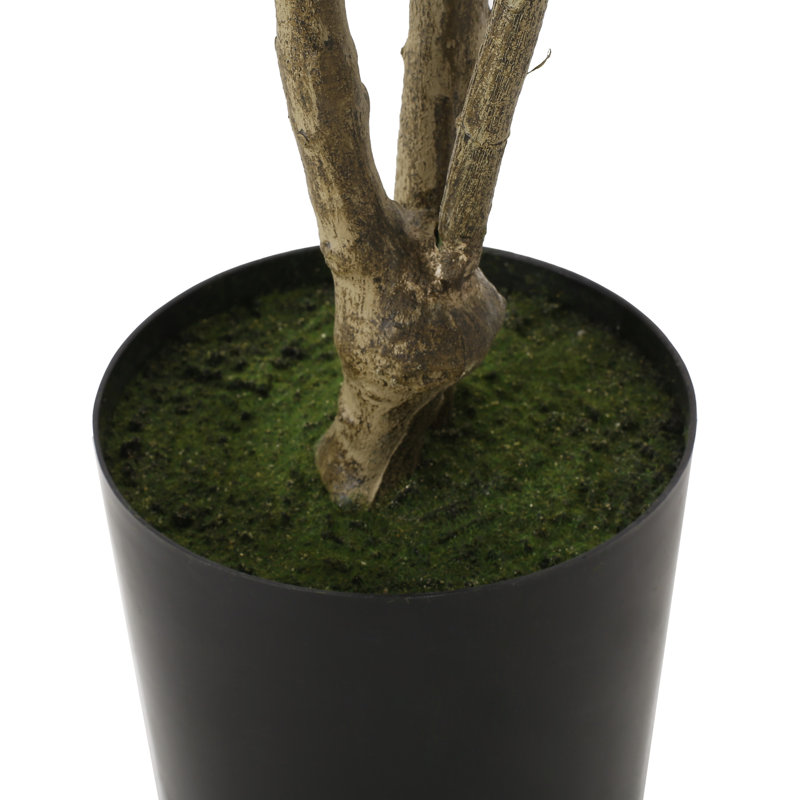 82.7'' Faux Eucalyptus Tree in Planter