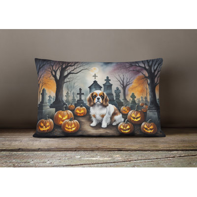 Other/No Pattern Outdoor Throw Pillow