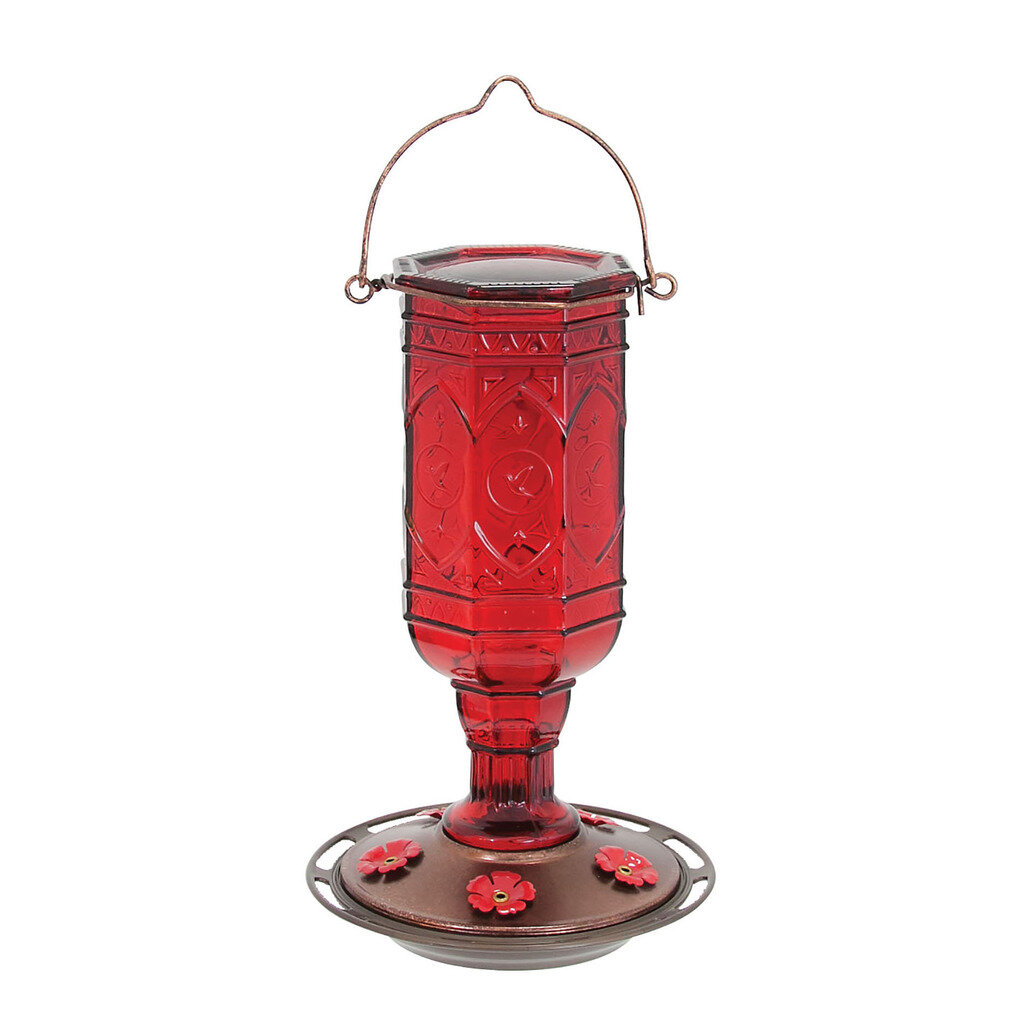 Bungalow Rose More Birds Vintage Hummingbird Feeder & Reviews | Wayfair