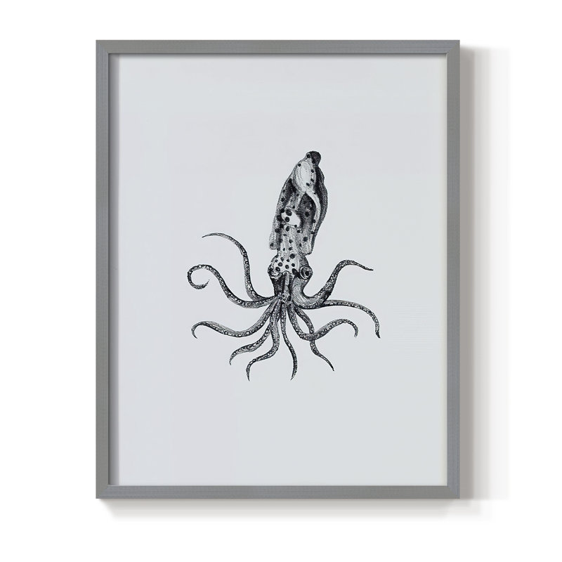 Marine Life II, reproduction encadrée - bois massif, Gris, H 10 po x l 8 po