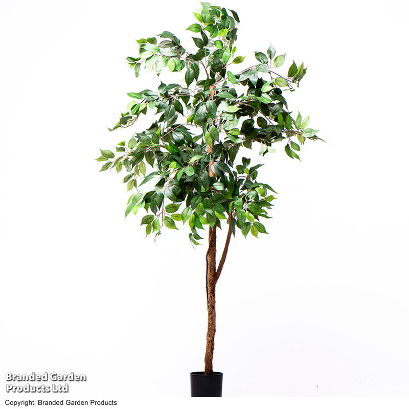 150 cm H Faux Ficus Tree Plant