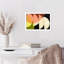 «Four Semi Moons I» par Gilpin, impression sur bois encadrée-941215611-941215618