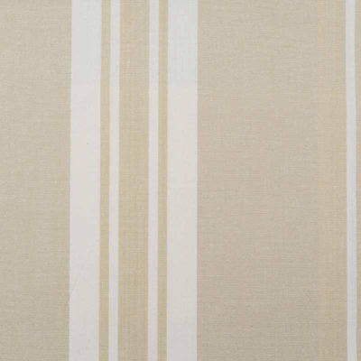 Baxter Plaids, Stripes And Solids 100% Cotton Fabric