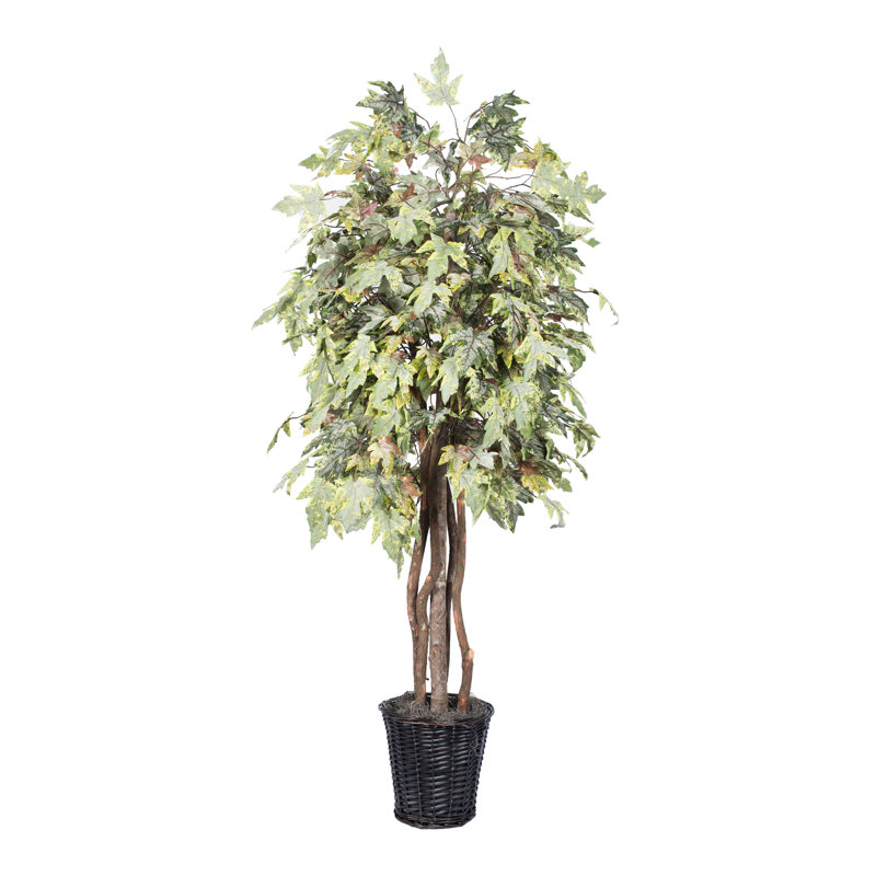 Artificial Frosted Maple Extra Full Series, Brown