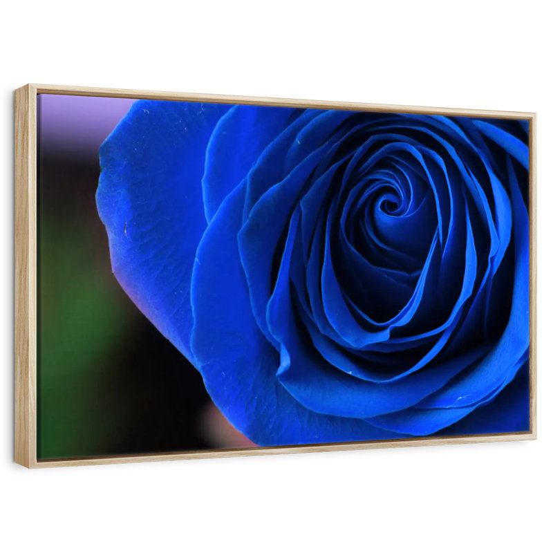 Bleu rose arbuste, Cadre flottant en bois naturel, 37 po x 25 po