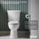 Kelston Comfort Height Two-Piece Elongated 1.28 Gpf Toilet With Continuousclean St Technology