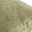 Harriet Pillow Cover & Insert-1698371456-1708268444