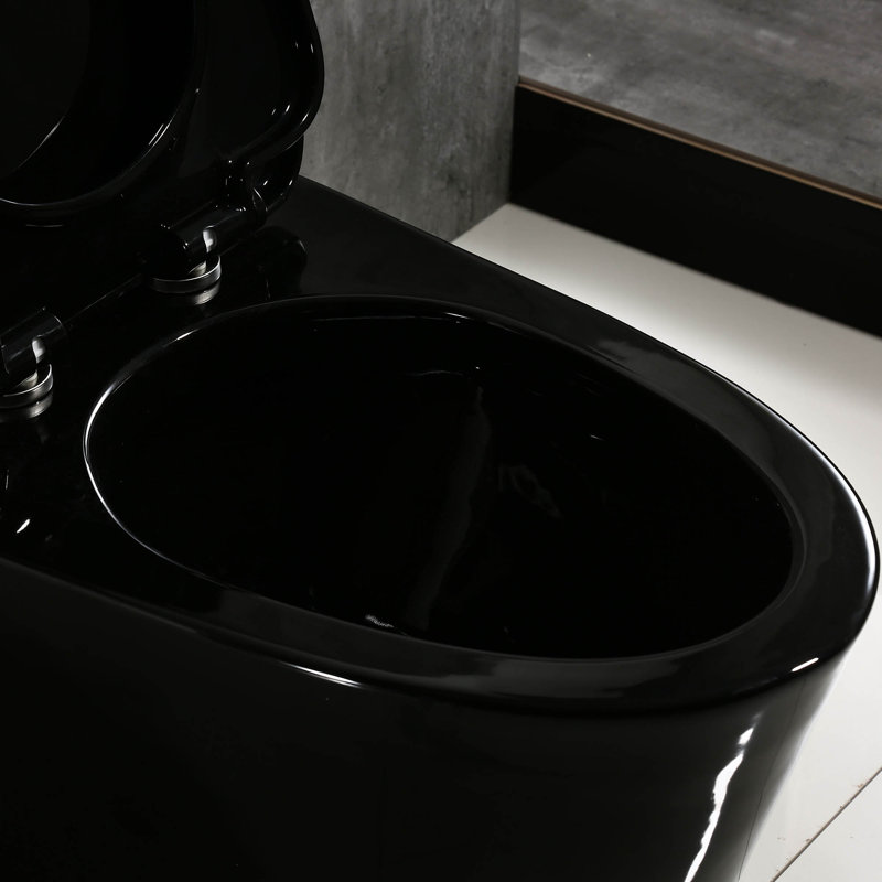 1.28 GPF Elongated ADA Height One Piece Dual-Flush Toilet with Soft-Closing Seat,MAP Flushing 1000G, Black