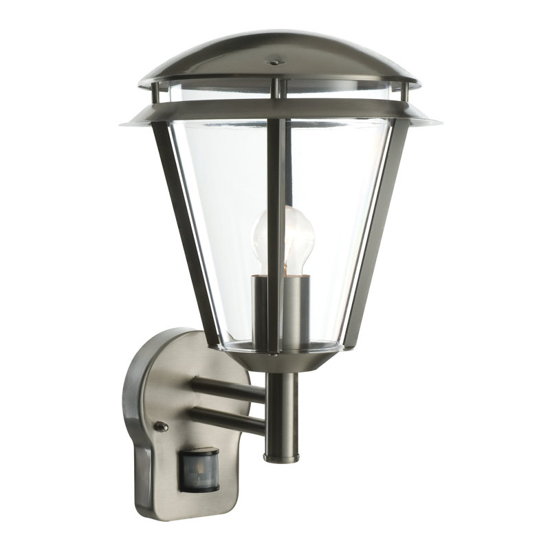 Nellie 38cm H Outdoor Wall Lantern, Brushed Stainless Steel