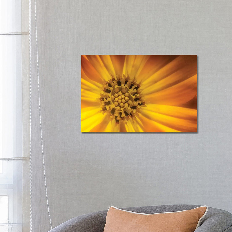 Sunflower by Glauco Meneghelli - Wrapped Canvas Print, 66.04 cm H x 45.72 cm W x 3.175 cm D