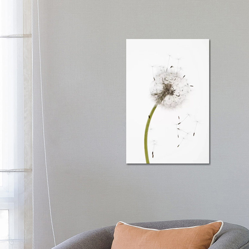 Close-Up Dandelion Seeds - Wrapped Canvas Print, 66.04 cm H x 45.72 cm W x 1.91 cm D