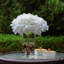 Arrangement floral dans un vase Lentz Hydrangea-88536453