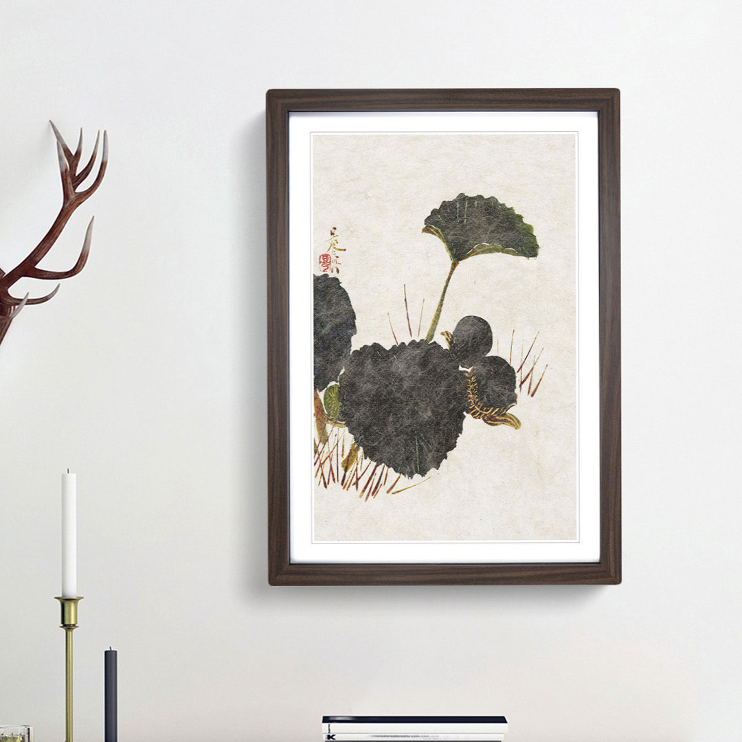Worm on a Green Leaf by Shibata Zeshin - Framed Print