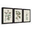 Pl. «153 Yellow-Rump Warbler», ensemble de 3 impressions sur toile encadrées-1577803191-1577803188