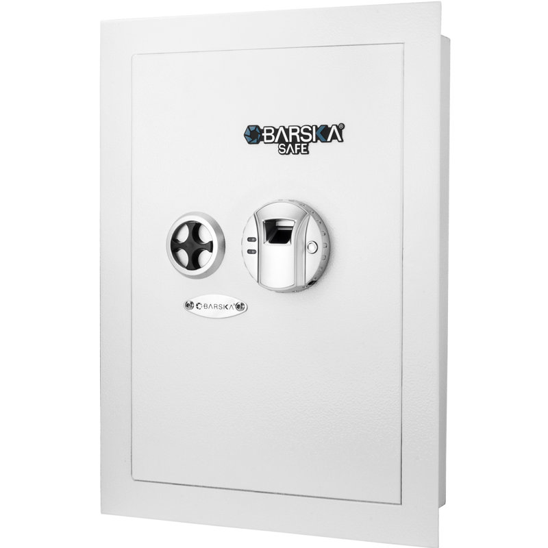Biometric Wall Safe