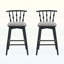 Chaises d'appoint d'intérieur, ensemble de 2-1298809111