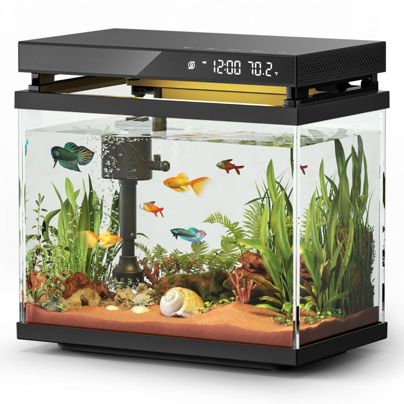 2 Gallon Black Glass Desktop Smart Aquarium Kit