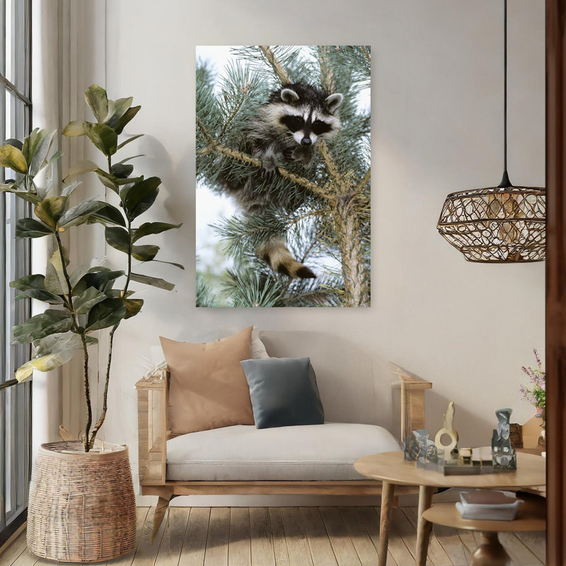 Raccoon Abstract Contemporary Pine Animal Nature Wall Art, H 48 po x l 32 po