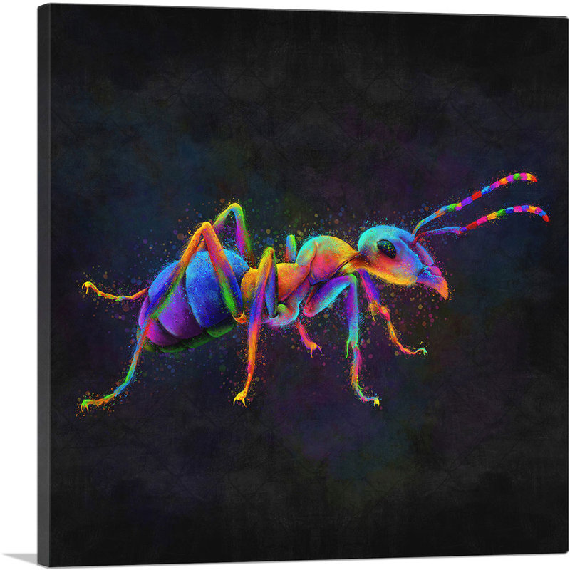 «Ant Insect», impression sur toile tendue, H 18 po x l 18 po x P 0,75 po