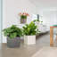 Planter Box-26992059-26992056