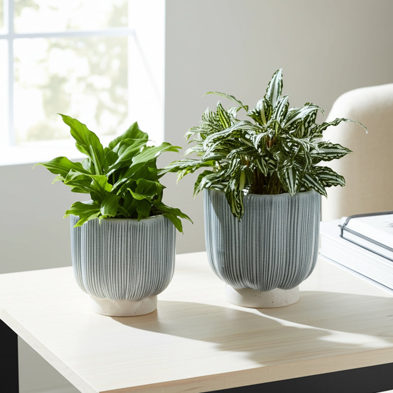 Aedin Stoneware Planters Garden Trend Modern Decorative Containers For Indoor Outdoor Display Set Of 2, Ivory/Blue