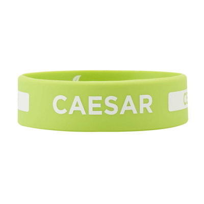  Silicone Squeeze Bottle Band 1 Count 2.75 Inch Dishwasher Safe Condiment Identification Band, Caesar Green Non-Slip Label Band for Condiment Labeling at Restaurants, Food Trucks