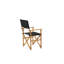 Padma Outdoor Patio Dining Armchair with Cushion