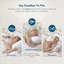 Oreillers en duvet d'oie 100% coton biologique-1835365678