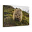 No Frame Print on Canvas-340023863
